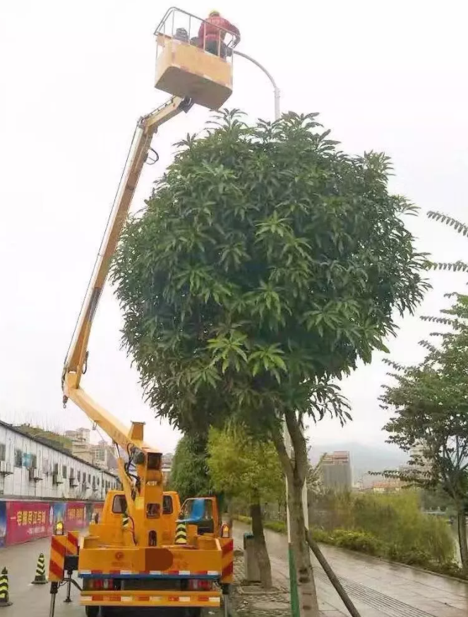 &#20048;&#31454;&#25163;&#26426;&#29256;&#45;&#20048;&#31454;&#108;&#101;&#106;&#105;&#110;&#103;&#40;&#20013;&#22269;&#41;